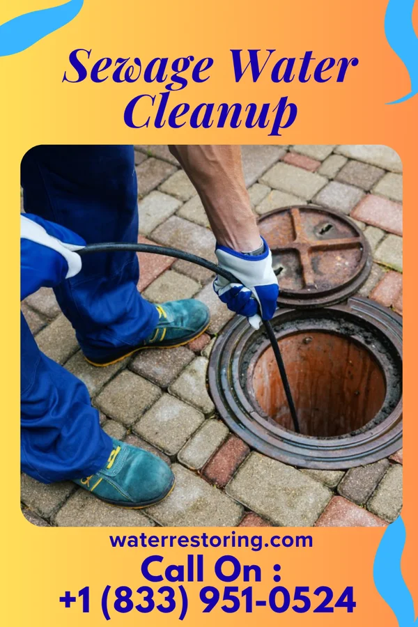 Sewage Water Cleanup in Atkins, AR